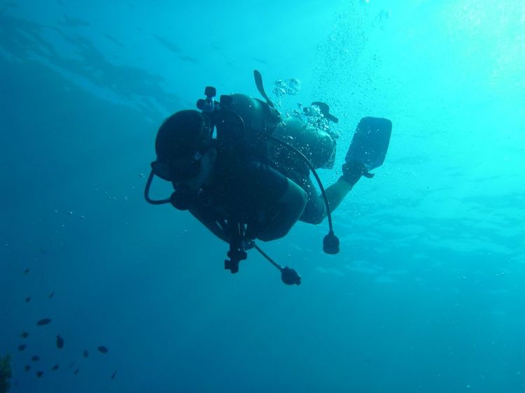 Ocean deepest record into dive william diving trubridge diver blue freedive world breaks again then does vertical