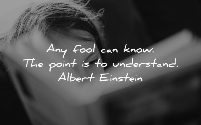 Quotes wisdom fool einstein albert author wisdomquotes