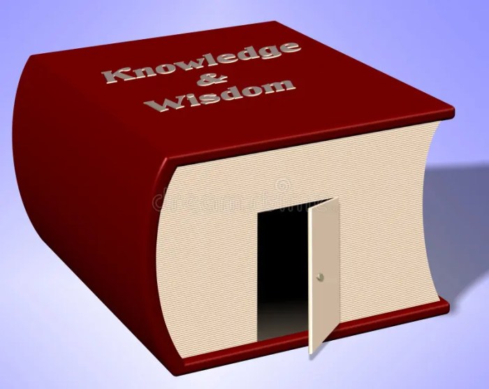 Knowledge door open preview